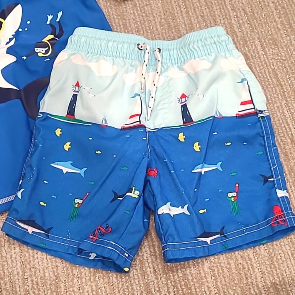 Swim Trunks - Picture 2 of 8